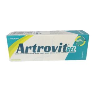 ARTROVIT 120 GR GEL