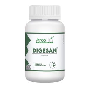 ARCO IRIS DIGESAN  X90 CAPSULAS