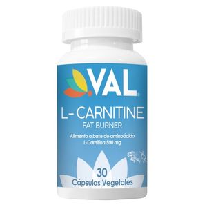 VAL L-CARNITINA  500 MG (L-CARNITINE) X30 CAPSULAS